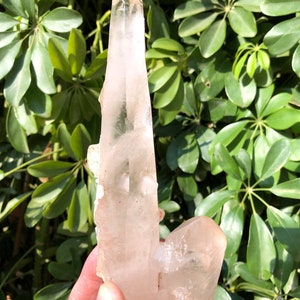 Peut inclure: Un grand amas de cristal de quartz clair avec un cristal pointu et allongé au centre. Le cristal est translucide et présente une légère teinte rose. L'amas est entouré de plus petits cristaux de quartz clairs.