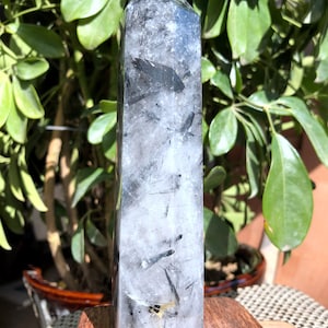 Rare Natural black Tourmaline Rutilated Quartz Tower/black Tourmaline Included Crystal Point/Crystal Specimen/Crystal energy/Healing crystal