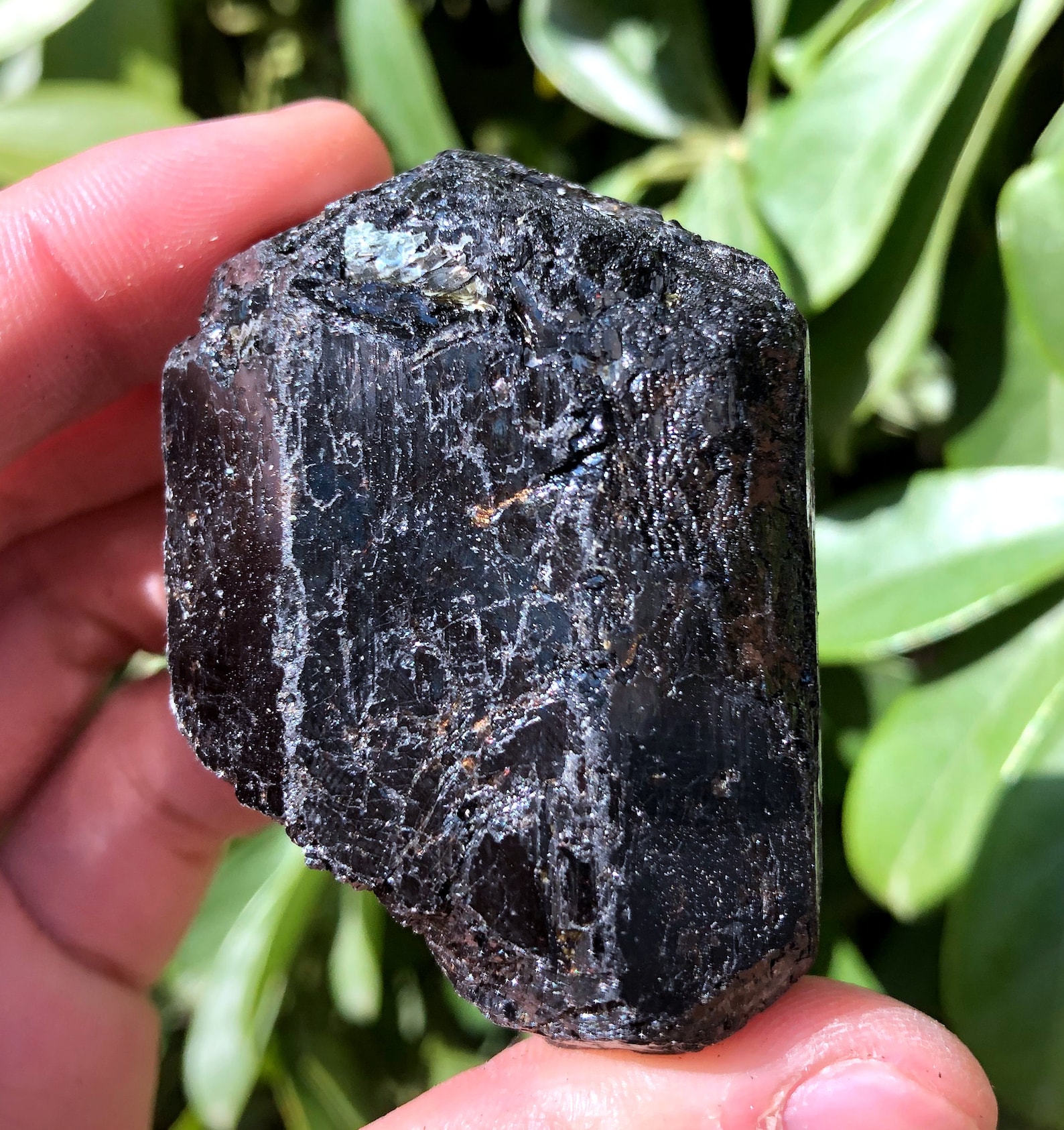 Top Quality Raw Large Natural Raw Black Tourmaline Stone/rough Etsy