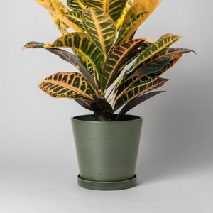 7&quot; Planter Pot with Saucer Drainage Hole & Plug | Planter with Saucer | Houseplant Flower Pot | Tapered Angled Planter (Colour - Olive Sage)
