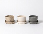 Three Set Mini Planters, Set of 3 Piece Cute Planter, Indoor Succulent Planter Pot, Modern Cactus Planter, Small Minimalist Tiny Plant Pot