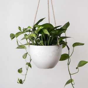 Hanging Planter Pot with Drainage Hole Indoor Hanging Pots 8 or 12 Succulent Plant Pot Imitation Concrete Ceramic Hanging Planter Pot image 1