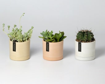 3" Mini Planters | Set of 3 Planters with Drainage Hole & Saucers | Small Cactus Planter | Ceramic Imitation | Indoor Planter Houseplant Pot