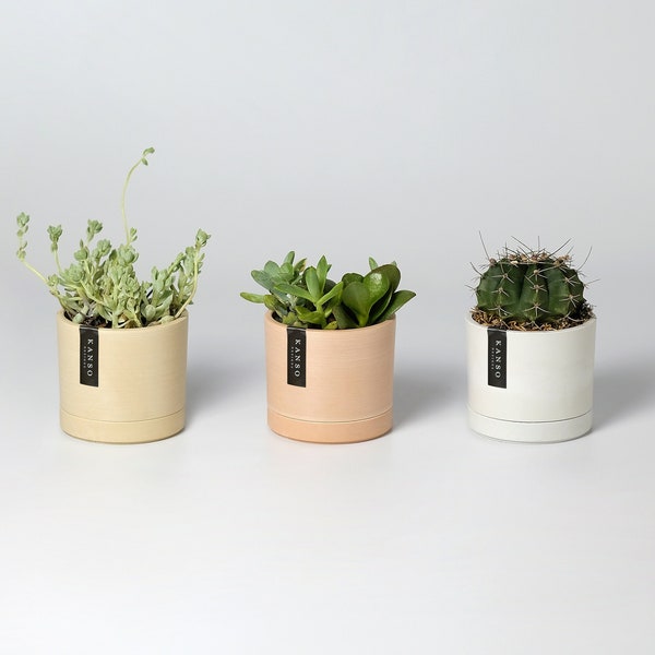 3" Mini Planters | Set of 3 Planters with Drainage Hole & Saucers | Small Cactus Planter | Ceramic Imitation | Indoor Planter Houseplant Pot