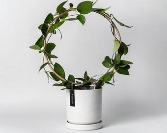 Circle Trellis | Round Endless Trellis | Hoya Trellis | Trellis for Indoor Plants | Houseplant Loop Trellis | Plant Support Accessory