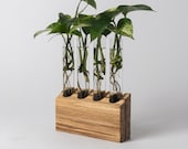Propagation Station Wall - Handmade from Upcycled Chopsticks, Plant Cuttings Holder, Wood Block Four Glass Tubes Propagation Station Stand