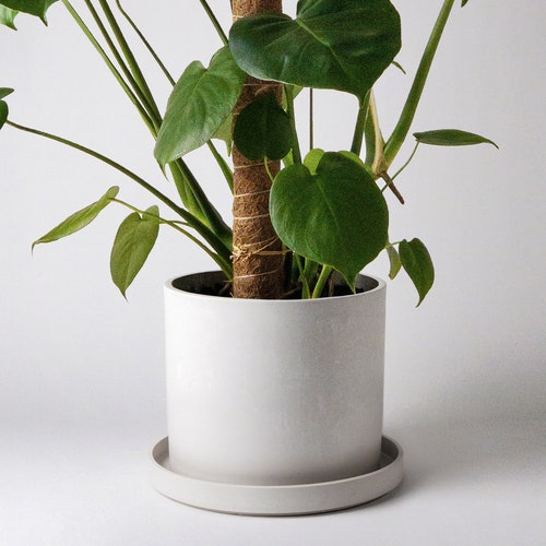 8 Planter Pot With Drainage Hole & Plug Indoor Plant Etsy