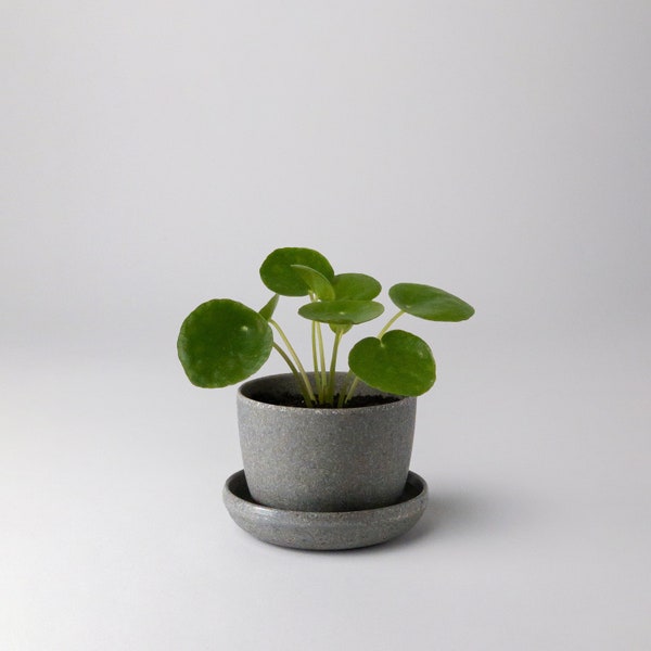 Wheat Husk Mini Planter Pot | Tiny Planters | Indoor Succulent Planter Pot | Modern Cactus Planter | Small Minimalist | Planter with Saucer