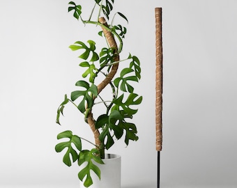 Bendable & Stackable Coco Coir Pole | 24" Moss Pole | Trailing Plant Support | Manila Coir Pole | Climbing Vine Moss Pole Plant Stakes