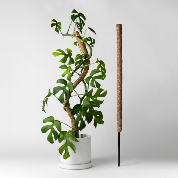 Bendable & Stackable Coco Coir Pole | 24" Moss Pole | Trailing Plant Support | Manila Coir Pole | Climbing Vine Moss Pole Plant Stakes