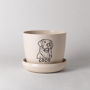 Pot de fleurs personnalisé avec nom de chat | Jardinière pour chat personnalisée | Jardinière avec illustration de chat | Jardinière en fibre de bambou | Mini cache-pot | Cadeau pour amoureux des chats