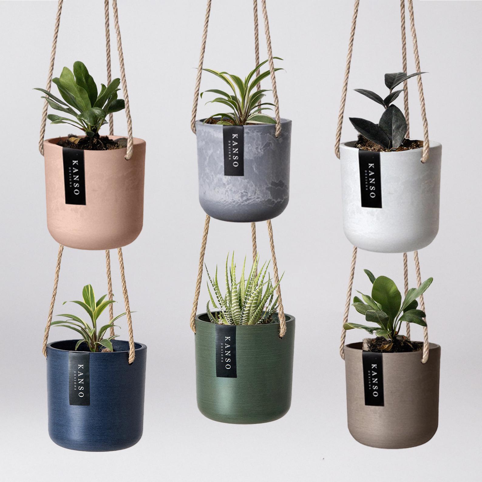 Plastic Hanging Pot - Etsy