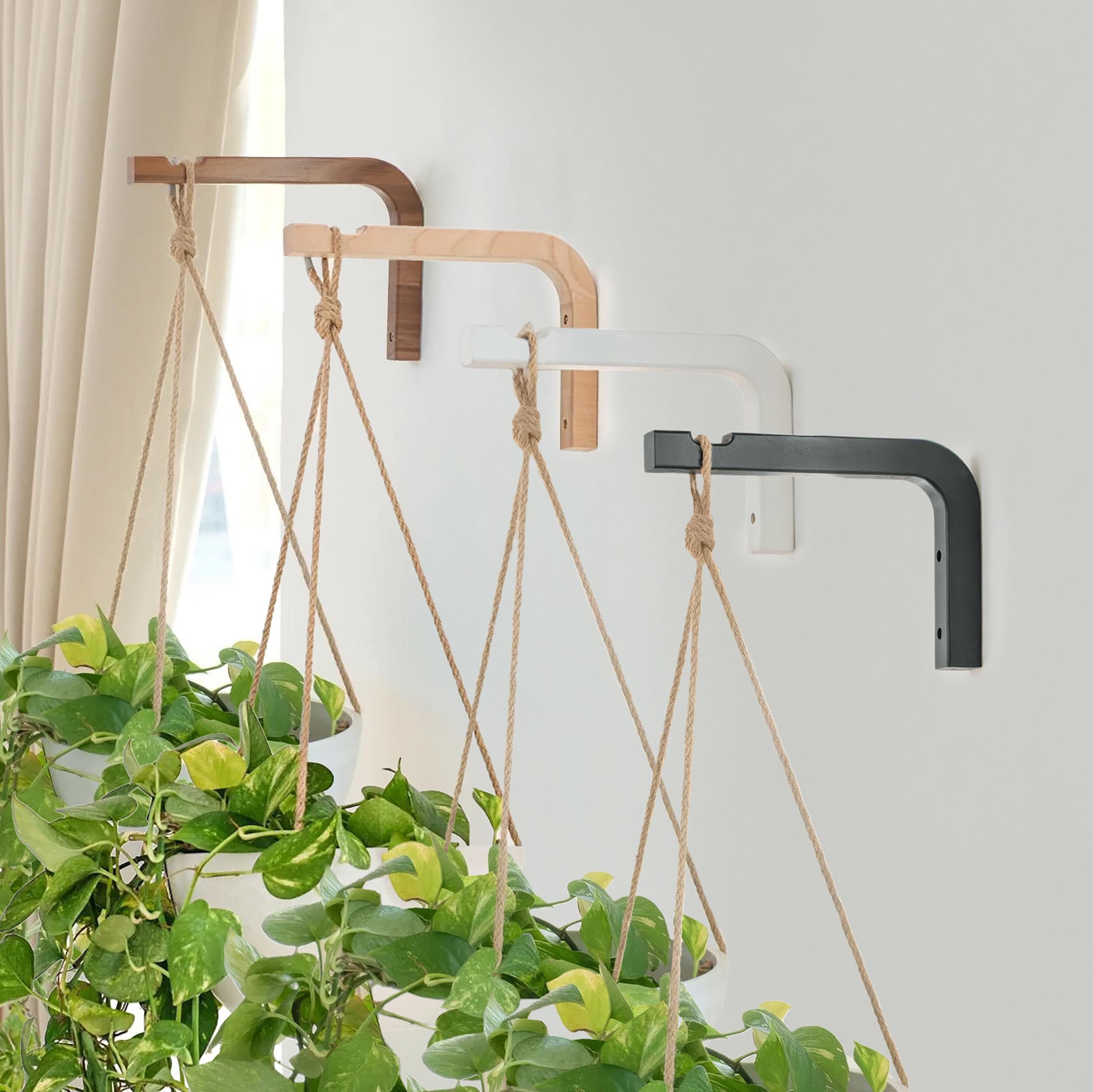 Wooden Plant Hanger Hook  Indoor Wall Mount | Birch, Walnut, White &  Black, 10lb - Etsy