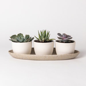 Modern Decorative Trays
