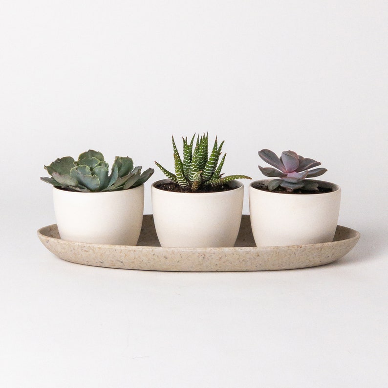 Modern Decorative Trays