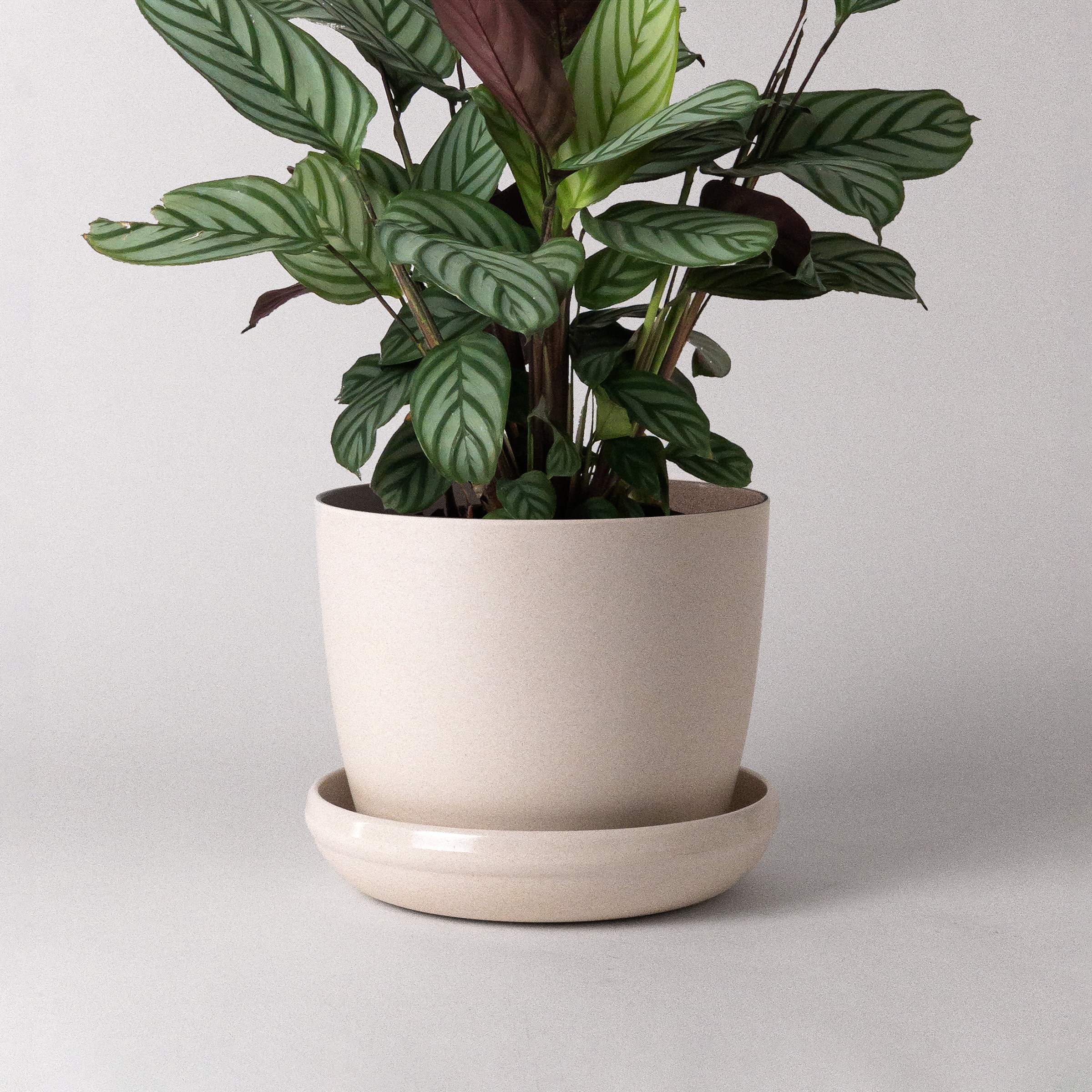 7" Off-White Plant Pot | Planter Pot with Saucer | Plant Pot with Drainage Hole | Ceramic Concrete Imitation | Modern Planter Houseplant Pot