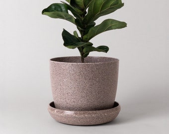 7" Nut Husk Plant Pot | Planter Pot with Saucer | Plant Pot with Drainage Hole | Ceramic Imitation | Modern Indoor Planter Houseplant Pot