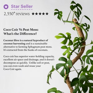 Bendable & Stackable Coco Coir Pole 24 Moss Pole Trailing Plant Support Manila Coir Pole Climbing Vine Moss Pole Plant Stakes image 3