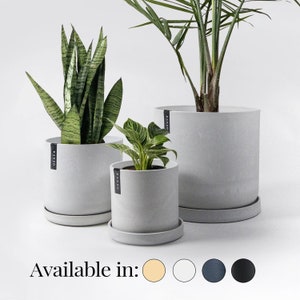 May include: Three gray concrete planters with different sized plants. The planters have a simple design and a subtle texture. The text "KANMO" is printed on the side of each planter. Available in: beige, white, dark blue, black.