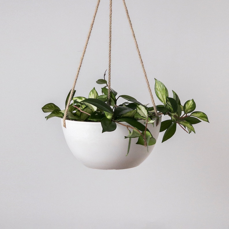 12" Hanging Planter Pot