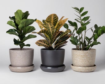 Essence Mini Planters Set of 3 | Indoor Small Succulent Planters