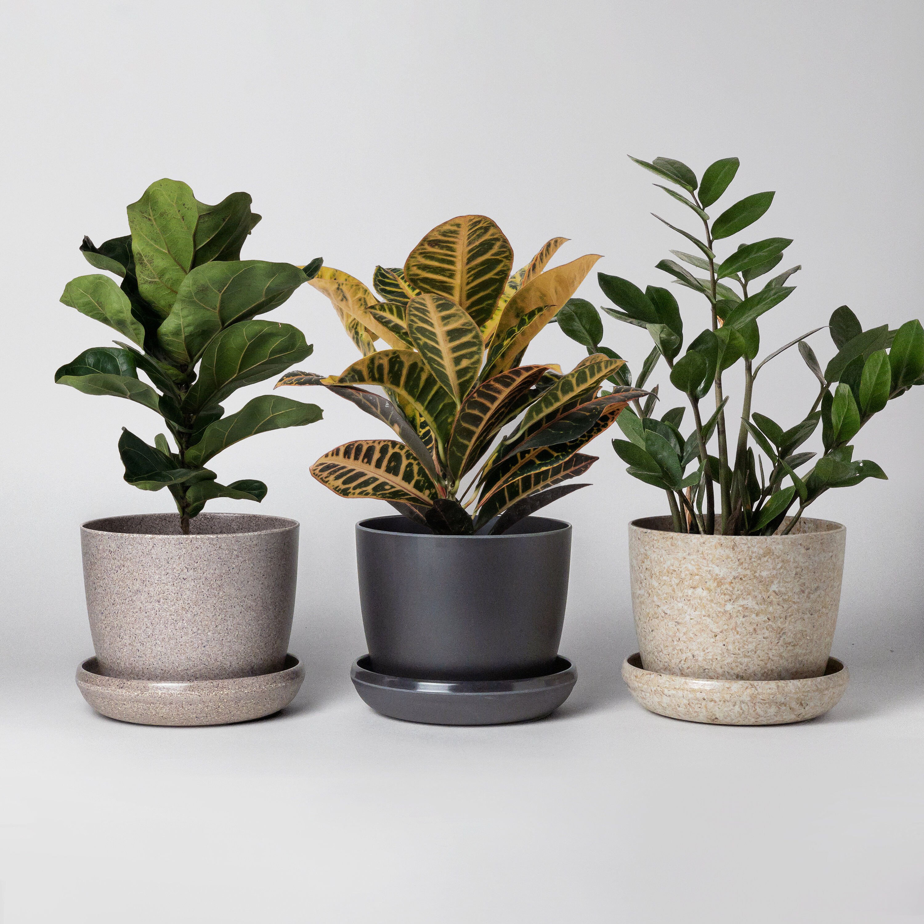 Essence Mini Planters Set of 3 | Indoor Small Succulent Planters