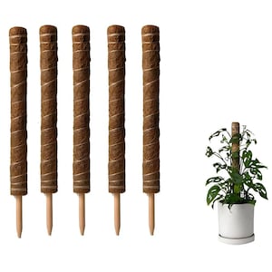 Peut inclure: Cinq tuteurs de plantes en coco brun avec une extrémité pointue. Les tuteurs sont faits de fibres naturelles et sont conçus pour aider à soutenir les plantes grimpantes.