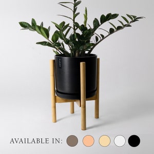 May include: A potted ZZ plant in a black ceramic pot on a natural wood plant stand. The plant has dark green leaves. The pot is labeled with the brand name "Kanso". The text "AVAILABLE IN:" is at the bottom, with color options.