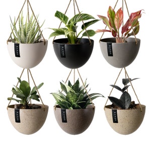 8" Hanging Planter Pot with Drainage Hole & Plug | Hanging Wall Planter | Upcycled Hanging Planters | Indoor Hanging Pot | Housewarming Gift