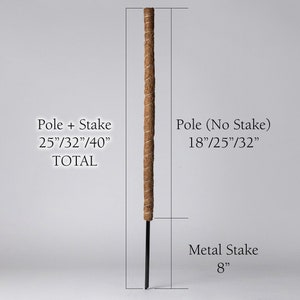 moss pole