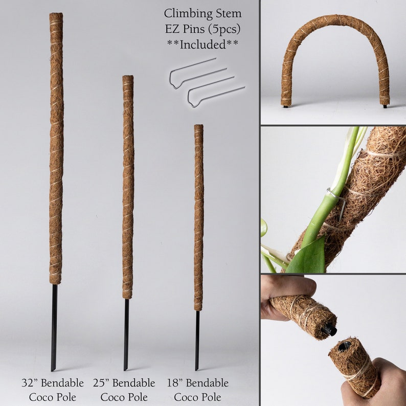 Bendable & Stackable Coco Coir Pole 24 Moss Pole Trailing Plant Support Manila Coir Pole Climbing Vine Moss Pole Plant Stakes image 2