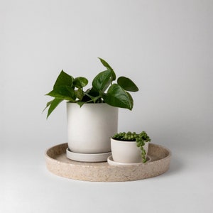 May include: Two white ceramic planters with green plants. The larger planter has a leafy plant and the smaller planter has a trailing plant. Both planters are on a beige tray.