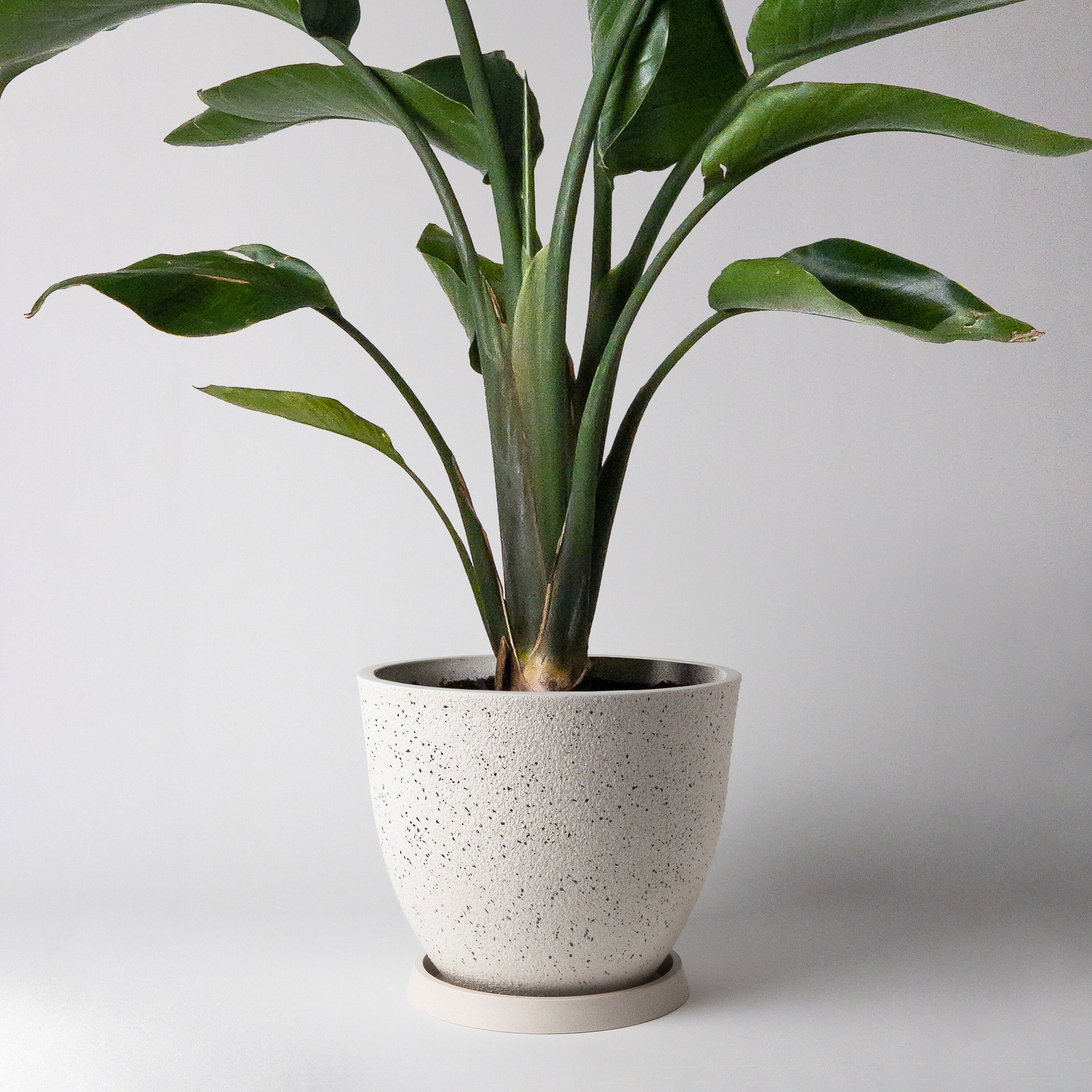 Textured 9 Planter With Drainage Hole & Plug Large - Etsy