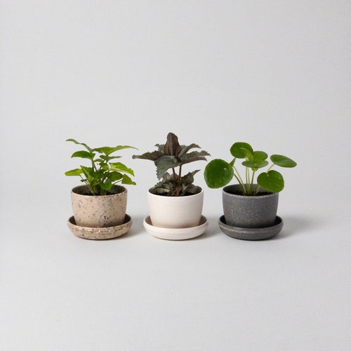 Harmony 7" Planters | Indoor Small Succulent Planters | Planter with Saucer | Houseplant Flower Pot | Housewarming Home Decor Gifts