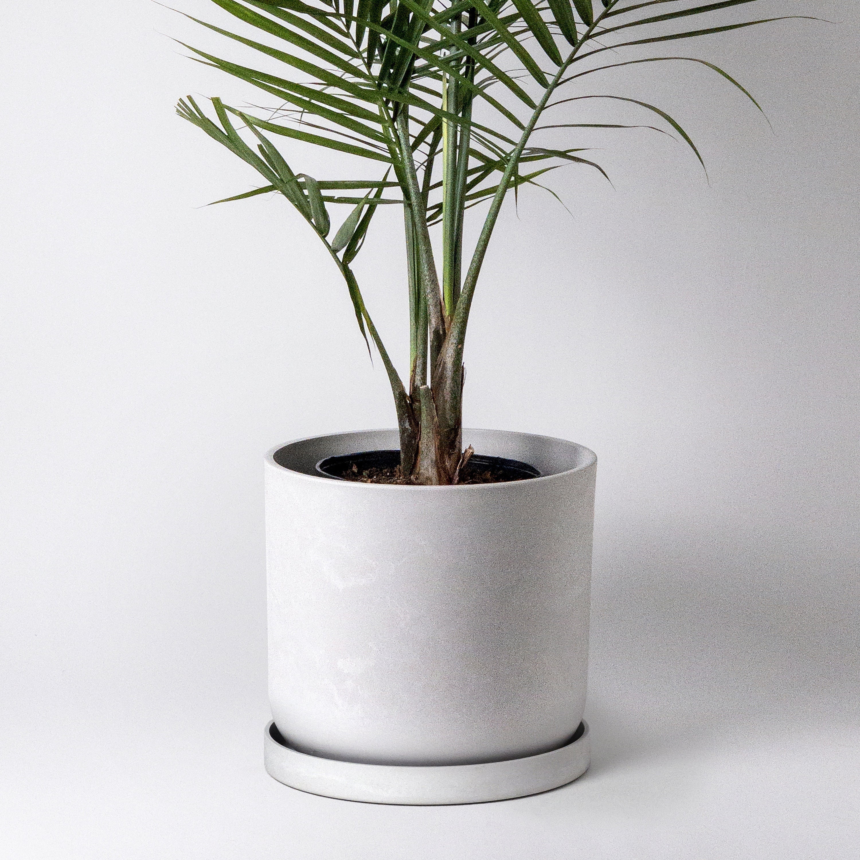 ding Optimisme Onenigheid 12 Planter Pot Large Planter Indoor Plant Pot Indoor - Etsy