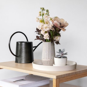 May include: A black metal watering can with a long spout and a handle, a white ceramic vase with a textured surface, and a small succulent plant in a white ceramic pot. The items are arranged on a light wood table.
