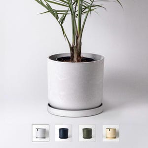 May include: A light gray concrete planter with a saucer, featuring a green potted palm plant.