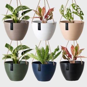Peut inclure: Six pots suspendus avec des plantes variées. Les pots sont de couleurs marron, blanc, beige, vert, bleu et noir. Chaque pot est suspendu par une corde naturelle. Les plantes ont des feuilles vertes et rouges.