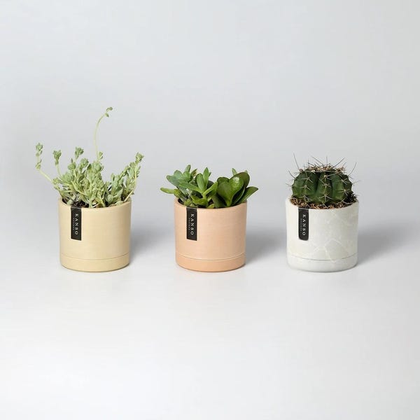 May include: Three cylindrical plant pots in light yellow, peach, and white marble patterns, each containing a small green plant. Each pot features a vertical black label with the white text KANSO printed on the front side of the container.