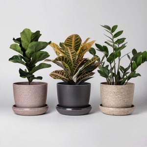 Essence Mini Planters Set of 3 | Indoor Small Succulent Planters