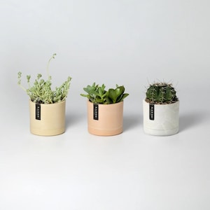 3" Mini Planters | Set of 3 Planters with Drainage Hole & Saucers | Small Cactus Planter | Ceramic Imitation | Indoor Planter Houseplant Pot
