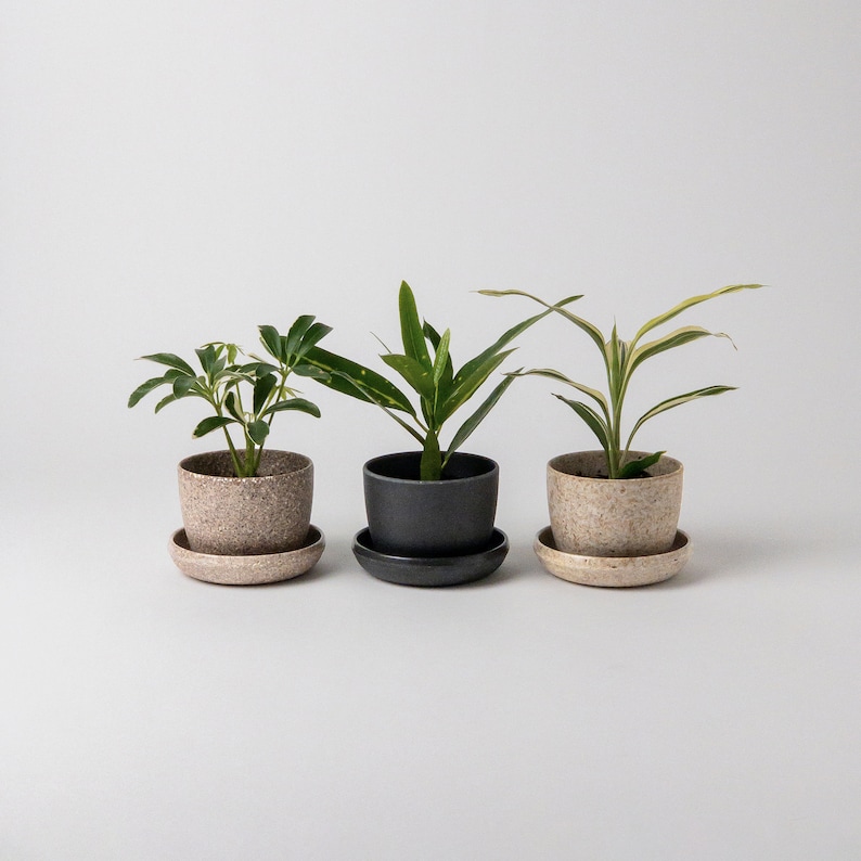 Essence Mini Planters Set of 3 | Indoor Small Succulent Planters | Tiny Planter Pot | Cactus Planters | Small Planter with Saucer