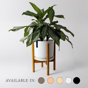 May include: A houseplant with large green leaves in a white ceramic pot. The pot is on a wooden plant stand. The text "AVAILABLE IN:" is at the bottom, with colour options in brown, peach, yellow, white, and black.