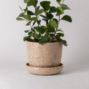 7&quot; Coffee Bean Plant Pot, Planter Pot with Saucer, Plant Pot with Drainage Hole, Ceramic Imitation, Modern Indoor Planter Houseplant Pot