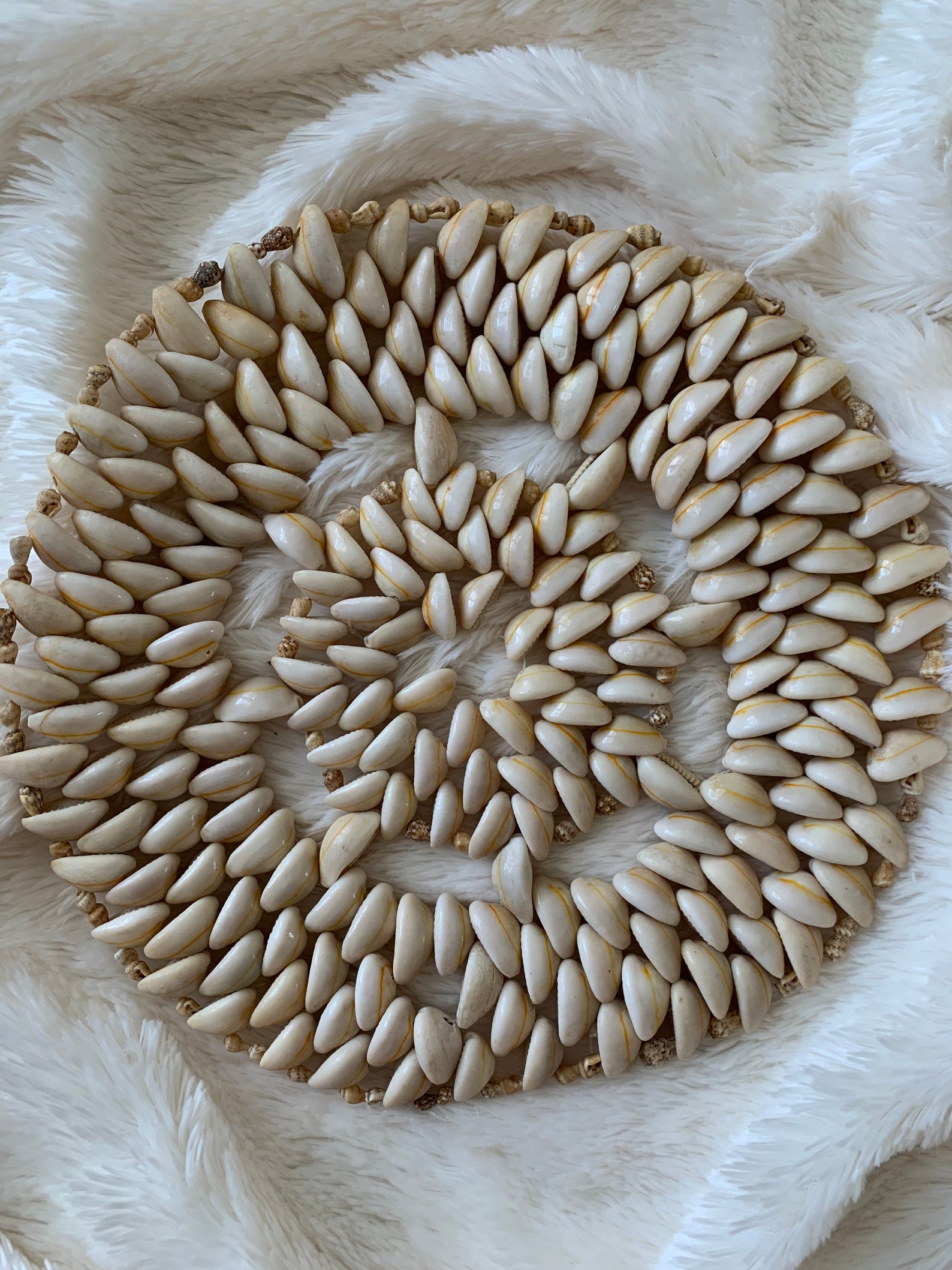 Set of 3 Seashell Trivets Vintage Shell Trivet Set Vintage Etsy