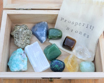 11 pcs prosperity and abundance crystals and selenite charging plate crystal gift set
