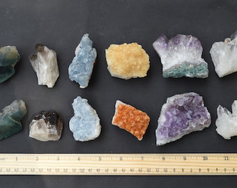 May include: Assortment of 10 raw crystals, including amethyst, clear quartz, smoky quartz, celestite, and fluorite. The crystals are arranged in two rows on a black surface with a ruler for scale.