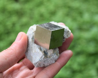 Navajun pyrite cubes in matrix from Spain