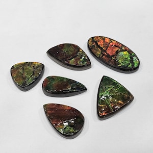 Iridescent Ammolite Gemstone Cabochon: Multi-Shape Jewelry Stone