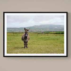 DONKEY KERRY - impression giclée couleur Fine Art, photographie de paysage côtier irlandais Ring of Kerry, décoration murale originale Irlande